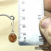 Sterling Silver Amber Oval Earrings - La Trobe Jewellery